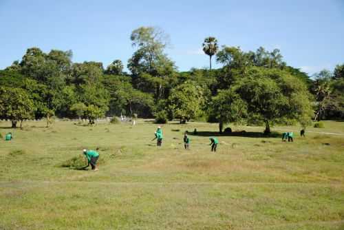 ANGKOR WAT HALF MARATHON 2013